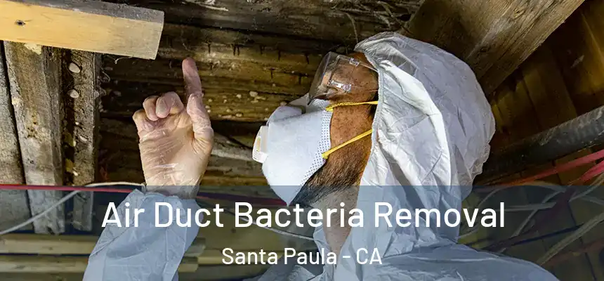  Air Duct Bacteria Removal Santa Paula - CA