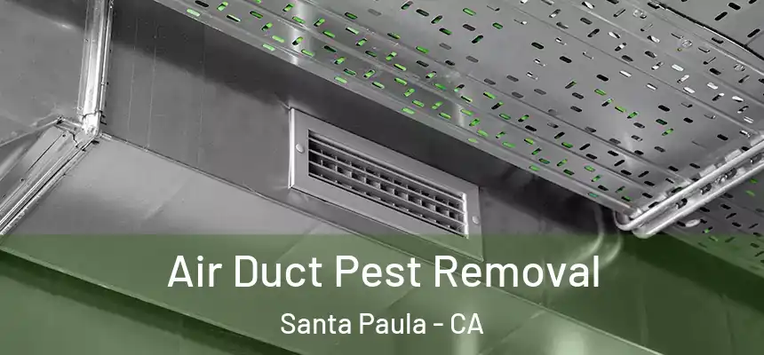  Air Duct Pest Removal Santa Paula - CA
