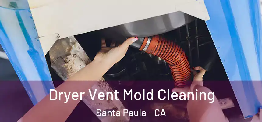  Dryer Vent Mold Cleaning Santa Paula - CA