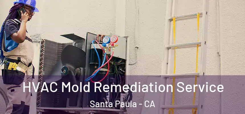  HVAC Mold Remediation Service Santa Paula - CA