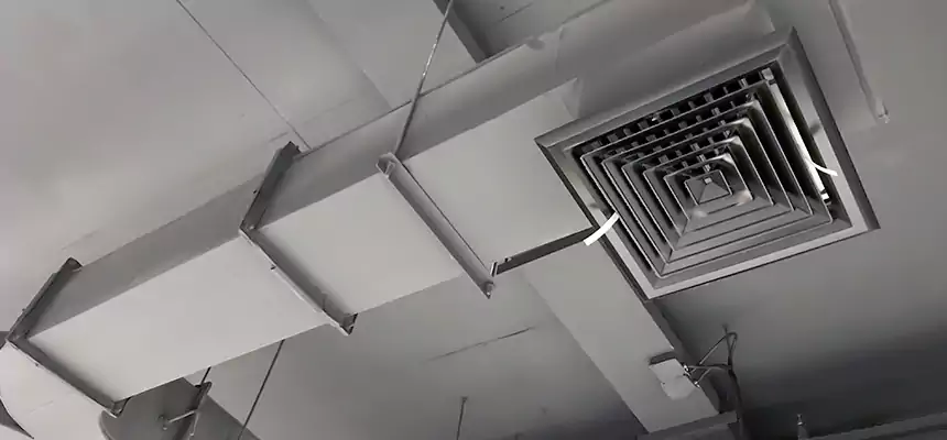 Restorative Allergy Relief Vent Cleaning – Coil, Blower & Housing Detail in Santa Paula