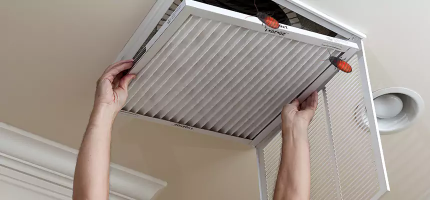 Our Insect Removal from Air Ducts Services in Santa Paula, CA