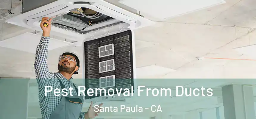 Pest Removal From Ducts Santa Paula - CA