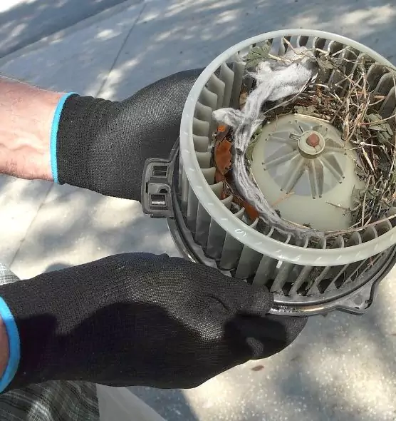 About Air Duct Mice Removal in Santa Paula, CA