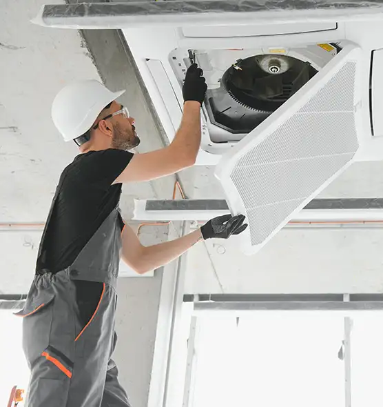 About Air Duct Rodent Removal in Santa Paula, CA