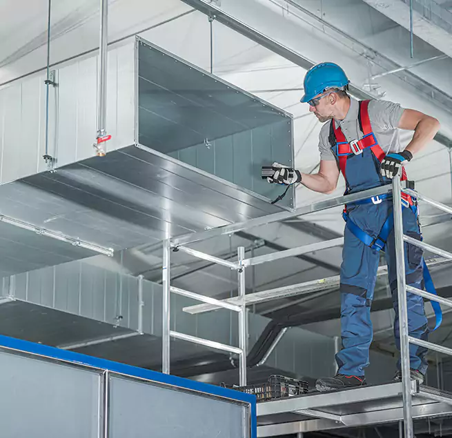 Why Homeowners & Businesses Trust Us in Santa Paula, CA?