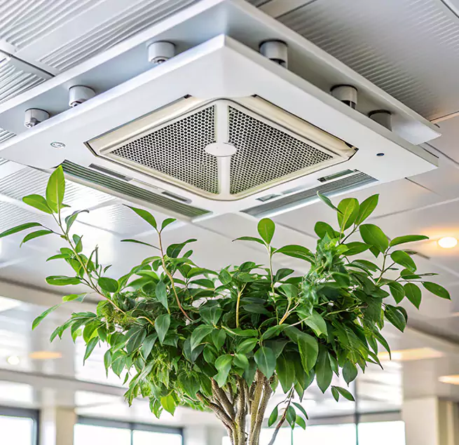 Why Homeowners & Businesses Trust Us in Santa Paula, CA