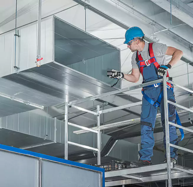 Why Homeowners Businesses Trust Us in Santa Paula, CA