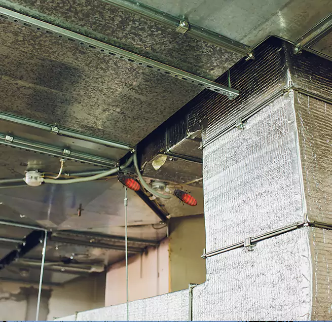 Why Homeowners & Businesses Trust Us Santa Paula, CA?