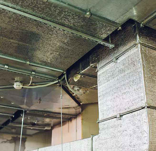 Why Homeowners & Businesses Trust Us in Santa Paula, CA?