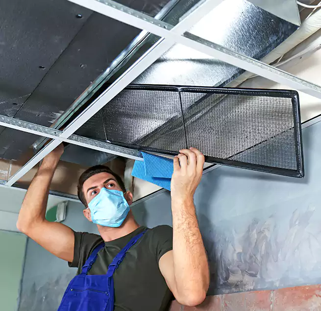 Why Homeowners Businesses Trust Us in Santa Paula, CA